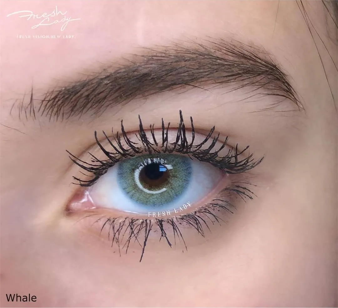 Fresh Desio AD.Blue contact lens  Caramelize  lenses 7 colors lucky color contact lenses cosmetic color lenses