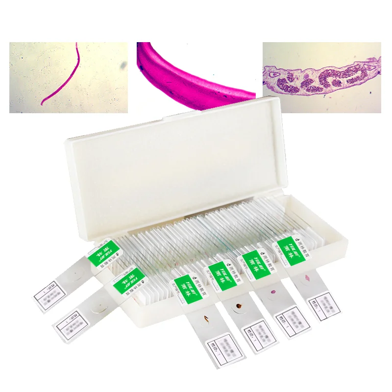 Medical Science Biology Anatomy Histology and Botany Prepared Microscope Slides 11.4*8.1*3.4cm CN;HEN YL-302 10pcs YULIN 2kgs