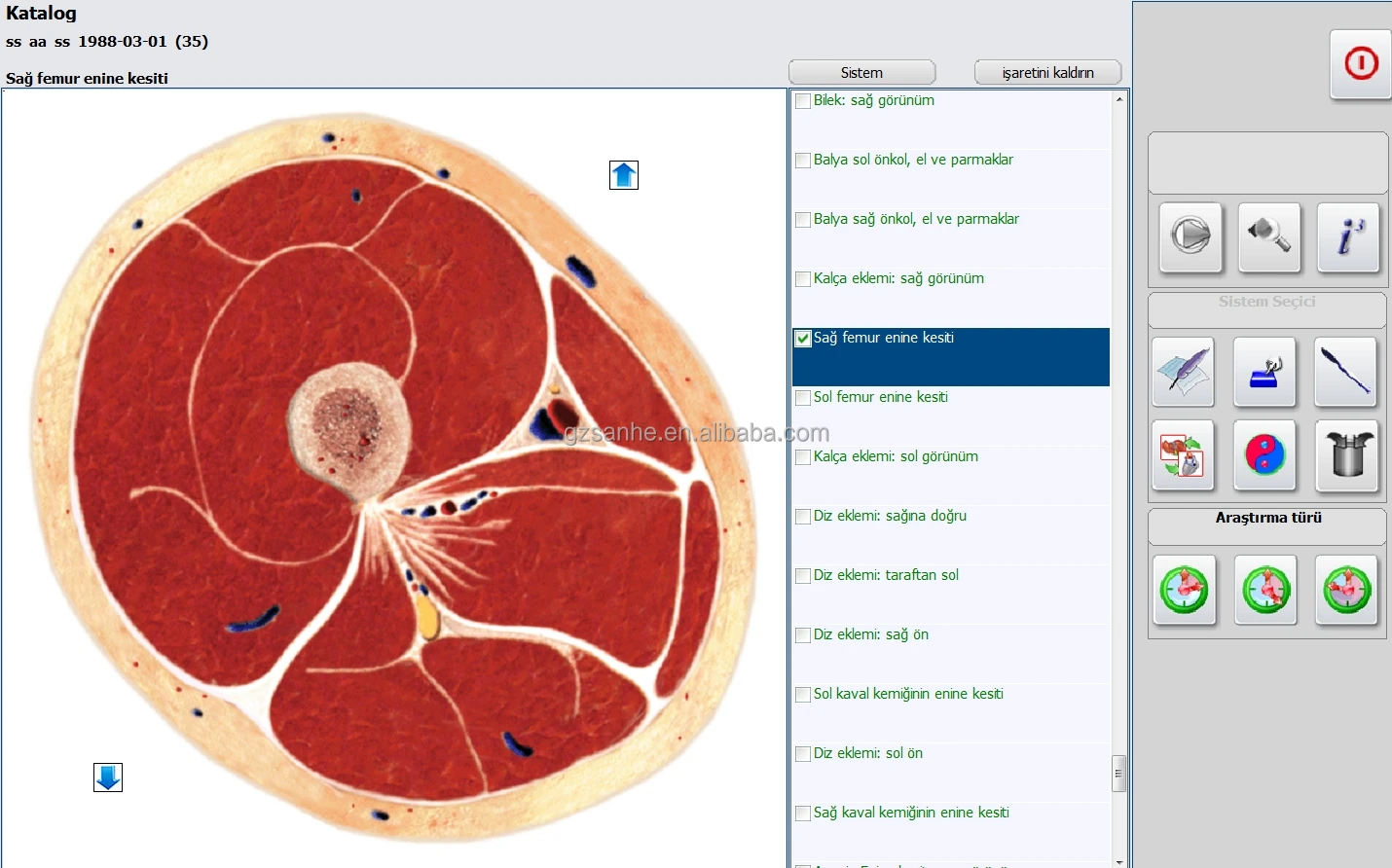 German language Health Analysis System Clinic Health Test Meta-Therapy Metapathia GR Hunter 4025