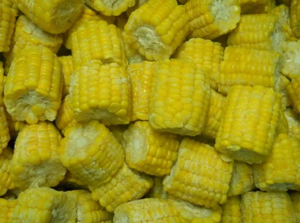 IQF Certified Frozen Vegetables Fresh Sweet Crispy Corn on the Cob in Bulk Whole and Blanched