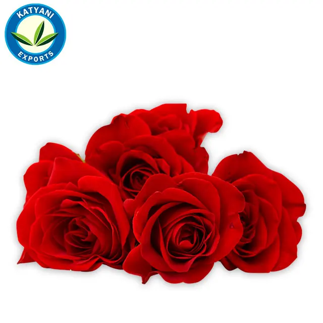 100% органический натуральный и чистый сразу привлечет Gulab (розовый)/Лучший (розовый)