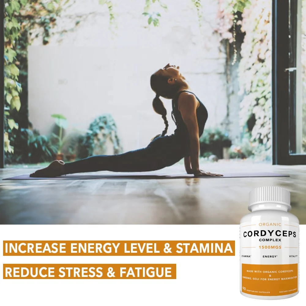 
Customize Organic Cordyceps Herbal Supplement Cordyceps Militaris Mushroom Extract Capsules 