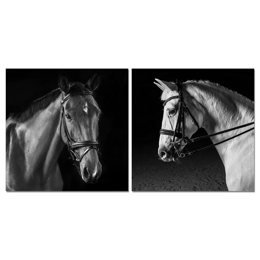 Hot Selling Black&White Horses Acrylic Wall Art Prints Canvas Art Work Frameless Acrylic Painting Oil Painting for Wall Decor.