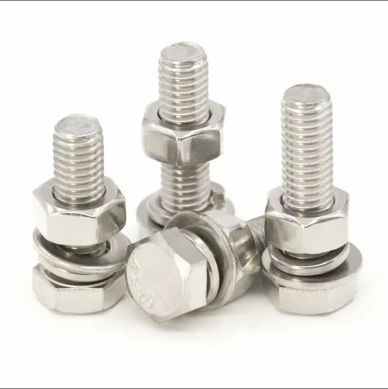 Stainless Steel SS A2-70 A2-80 A4-70 A4-80 Combination of Hex Bolt and Nut with Plain Washer and Spring Washer