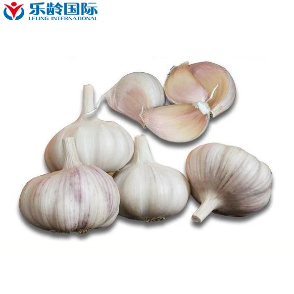 Оптовая продажа, высококачественный чеснок, Заводская поставка, свежий китайский чеснок 4p, чистый белый чеснок, поставщики чеснока