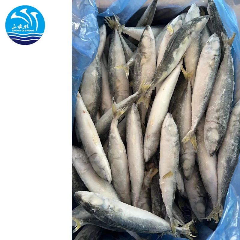 Seafood  manufacturer  Wholesale Fresh frozen Light catching IQF mackerel fish