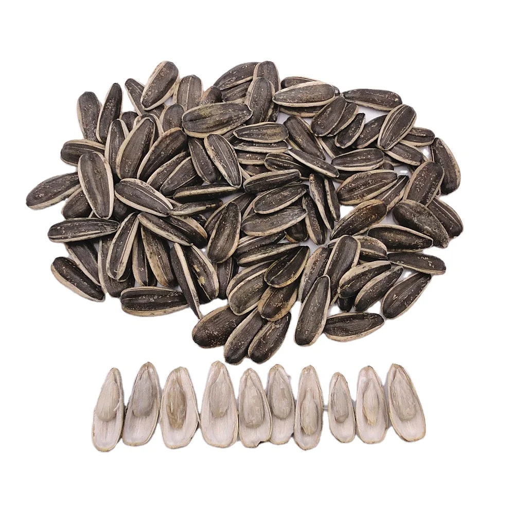 Oil sunflower seeds ukraine prices