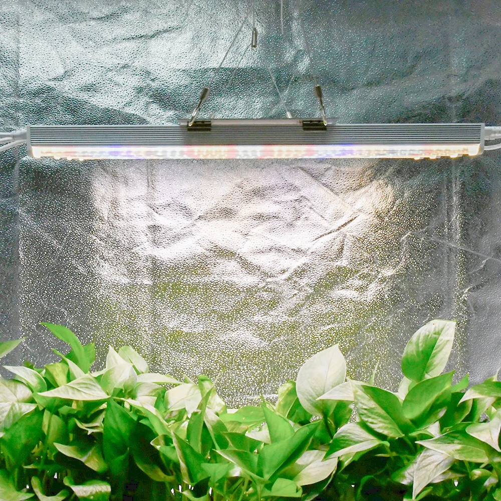 Factory Direct 100W 400W Full Spectrum for Indoor Plant Growing 4 root Led Grow Lights