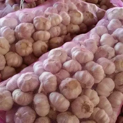 
2021 New Crop Normal White Garlic ship by 1x40fcl reefer container Garlic sizes 4.5cm, 5.0cm, 5.5cm, 6.0cm 