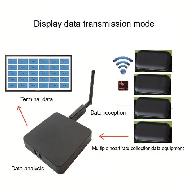 
GYM team Exercise Transmission Wireless fitness equipment heart rate chest belt sensor 