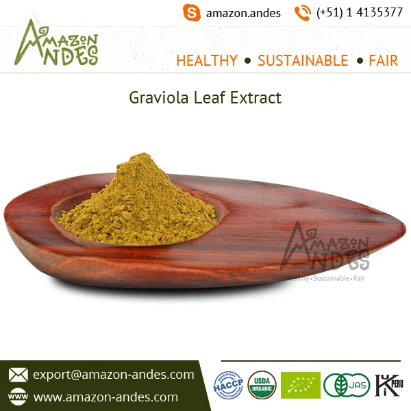 Food Grade Brown Quality Raw Powder Herbal Extracts Plant Extracts