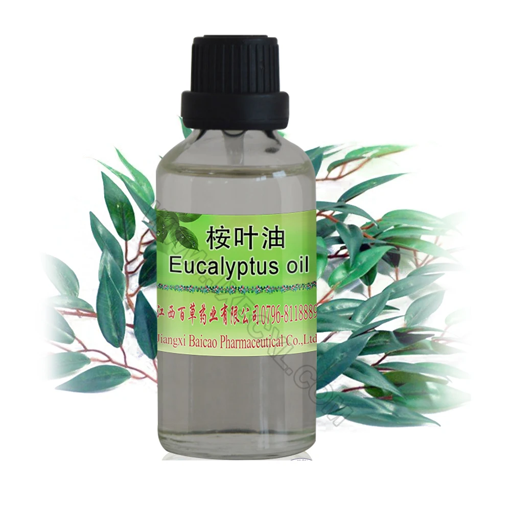 Essential Eucalyptus Globulus oil from Eucalyptus Globulus Leaves Extract Contain Cineole Beard Oil Skin Care