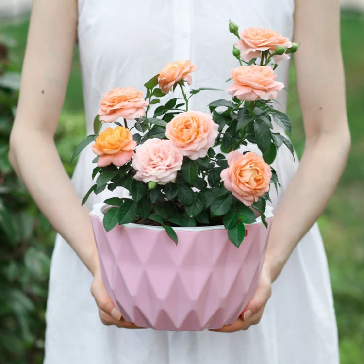 New design cheap self watering colorful style plastic hanging basket flower pot