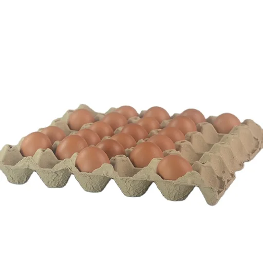Disposable Paper Pulp Bulk Egg Flats Tray for 30 Cells Chicken Eggs Durable Reusable Containers Accept Labels