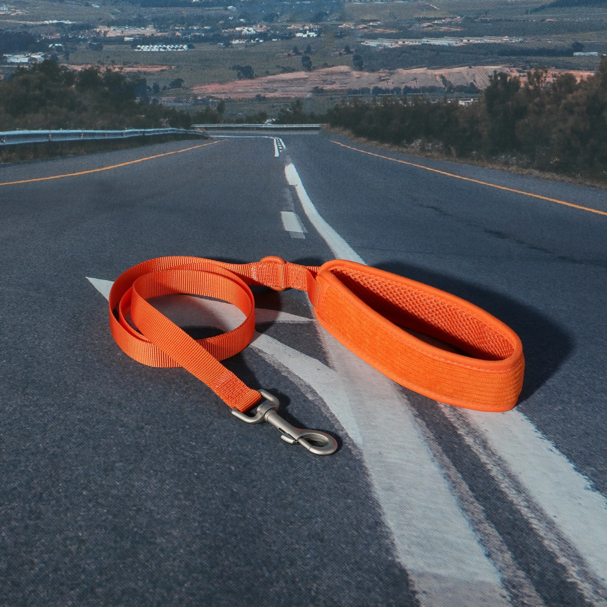 Pet supplies rope dog leash training harness color custom travel pet collars dog leash outdoor adjustable pet dog harness