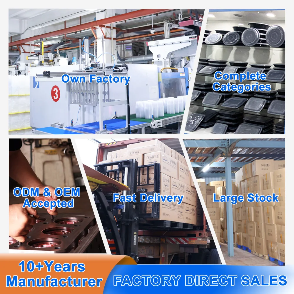 Various Capacity Specifications Disposable Rectangular Plastic Storage Various Food Containers