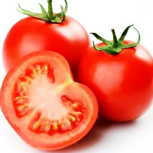 HOT  Fresh Red Tomato Packing In Boxes