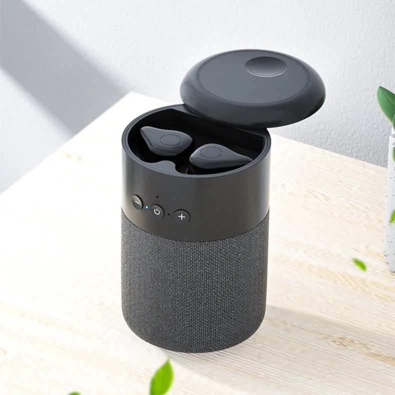 B20 2 in 1 Bt 5.1 Wireless Sport In Ear Earphone 9d Bass Sound Portable Mini Speaker With Earbuds
