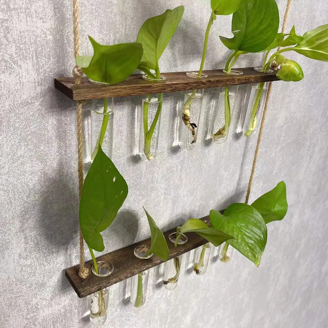 Wall Hanging Propagation Station with Wooden Stand 5 Glass Test Tubes 3 Tiered Wall Terrarium Home Plant Hanger Flower Vases