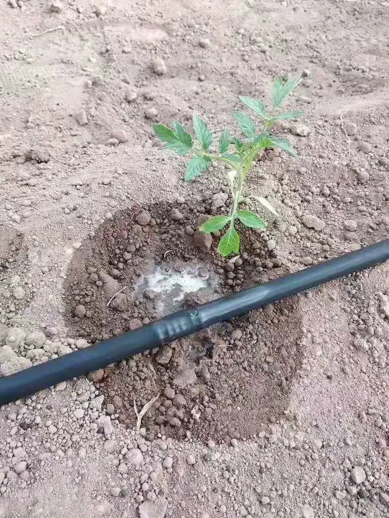 Farm Drip Irrigation System Pe Drip Pipe Dripper Dn16mm