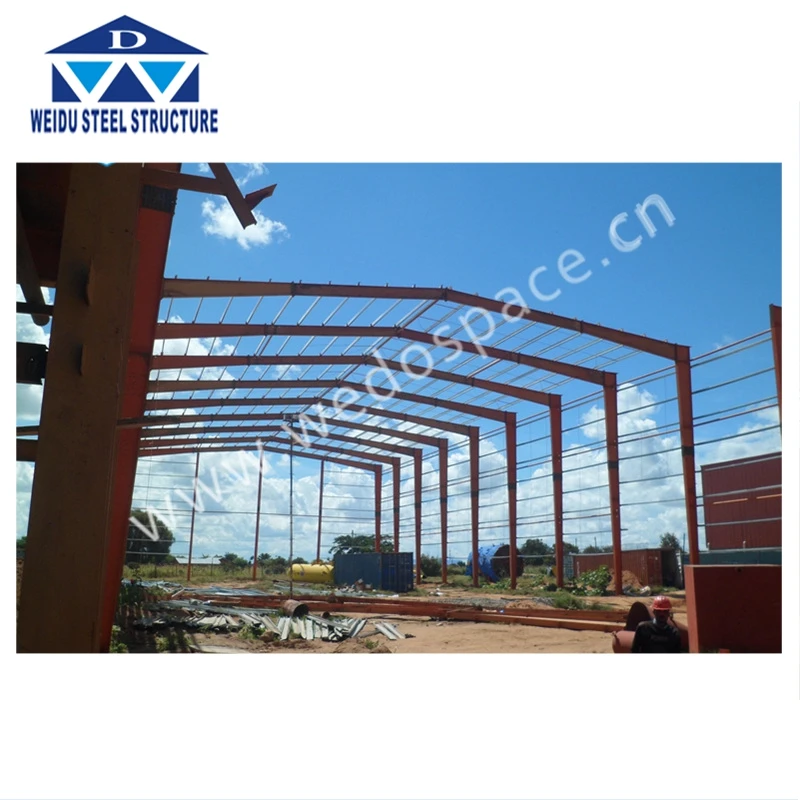 Slaughter House Processing Shed large span steel structure