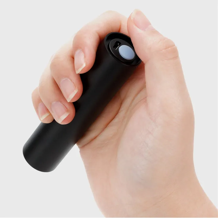 Бесплатный логотип Type-C USB перезаряжаемый мини-ультрафиолетовый фонарик из алюминиевого сплава 365 нм для домашних собак кошек мочи денег УФ-детектор фиолетового света