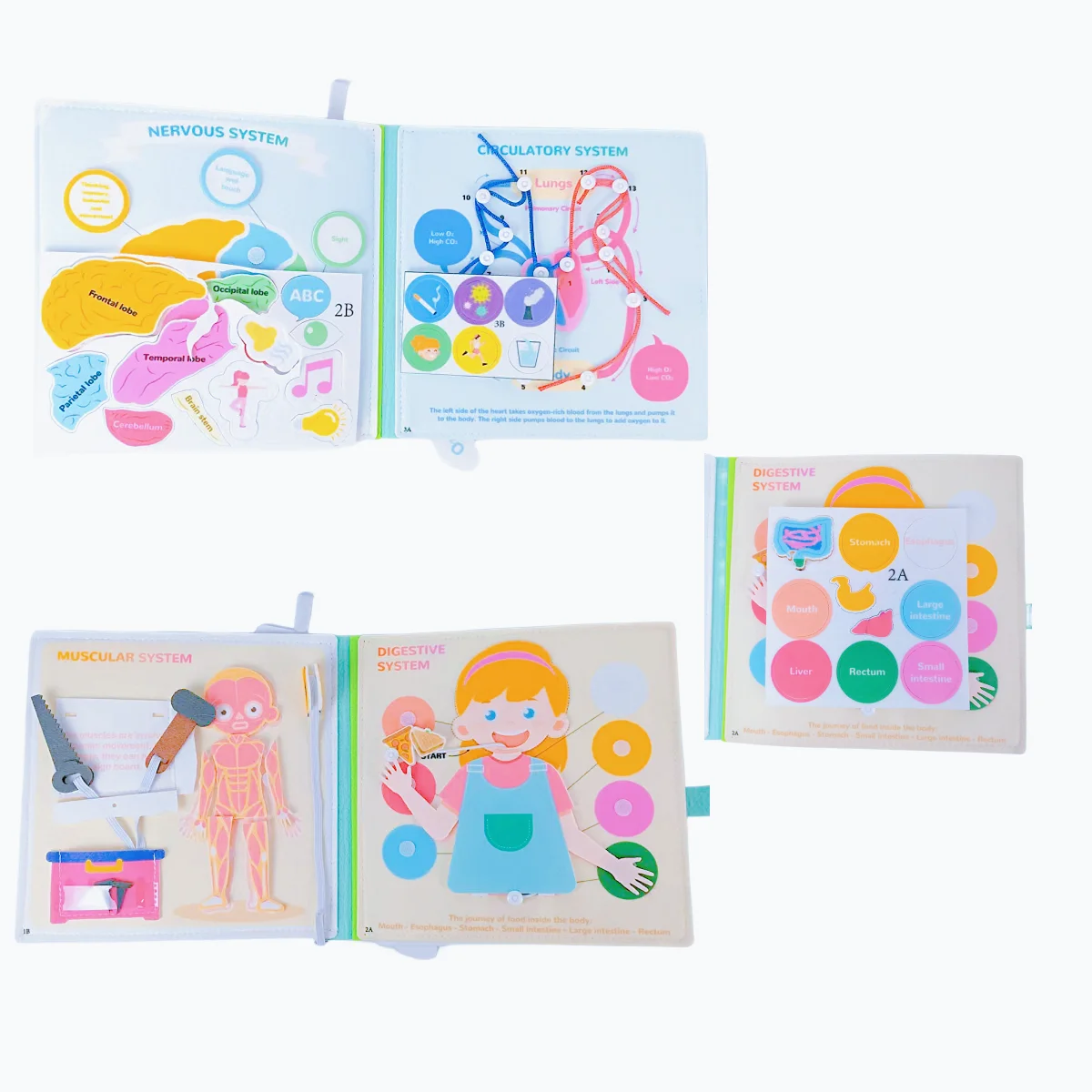 Popular Toys and Factory Educational Sensory Felt Quite Book for 2-6ages Kids Felt Educational Toy