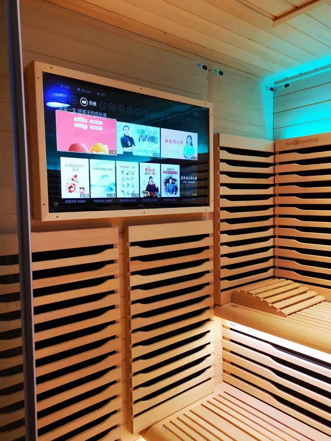 Professional sauna manufacturer luxury design customize indoor/outdoor sauna room with TV