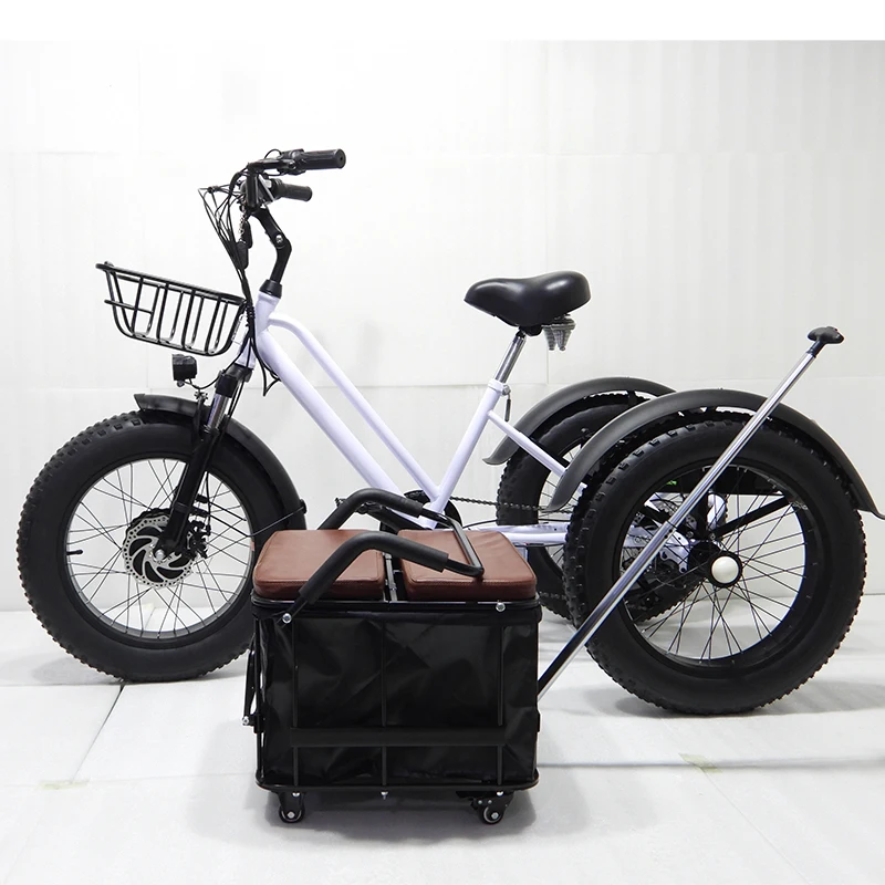 Stock Power Snow Electric Bicycle Big Three Wheel E Trikes Ebike On Sale Fat Tire Tricycle Cargo Bike Tricycle Electric Adult
