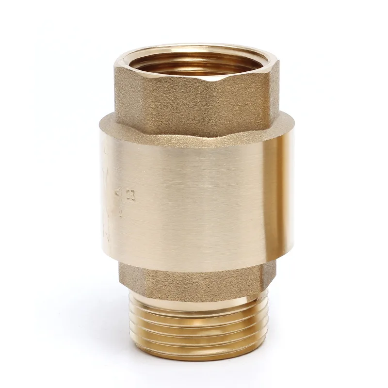 1 inch Gas Delivery side male x Female BSP Brass Check Valve for Steel Pump