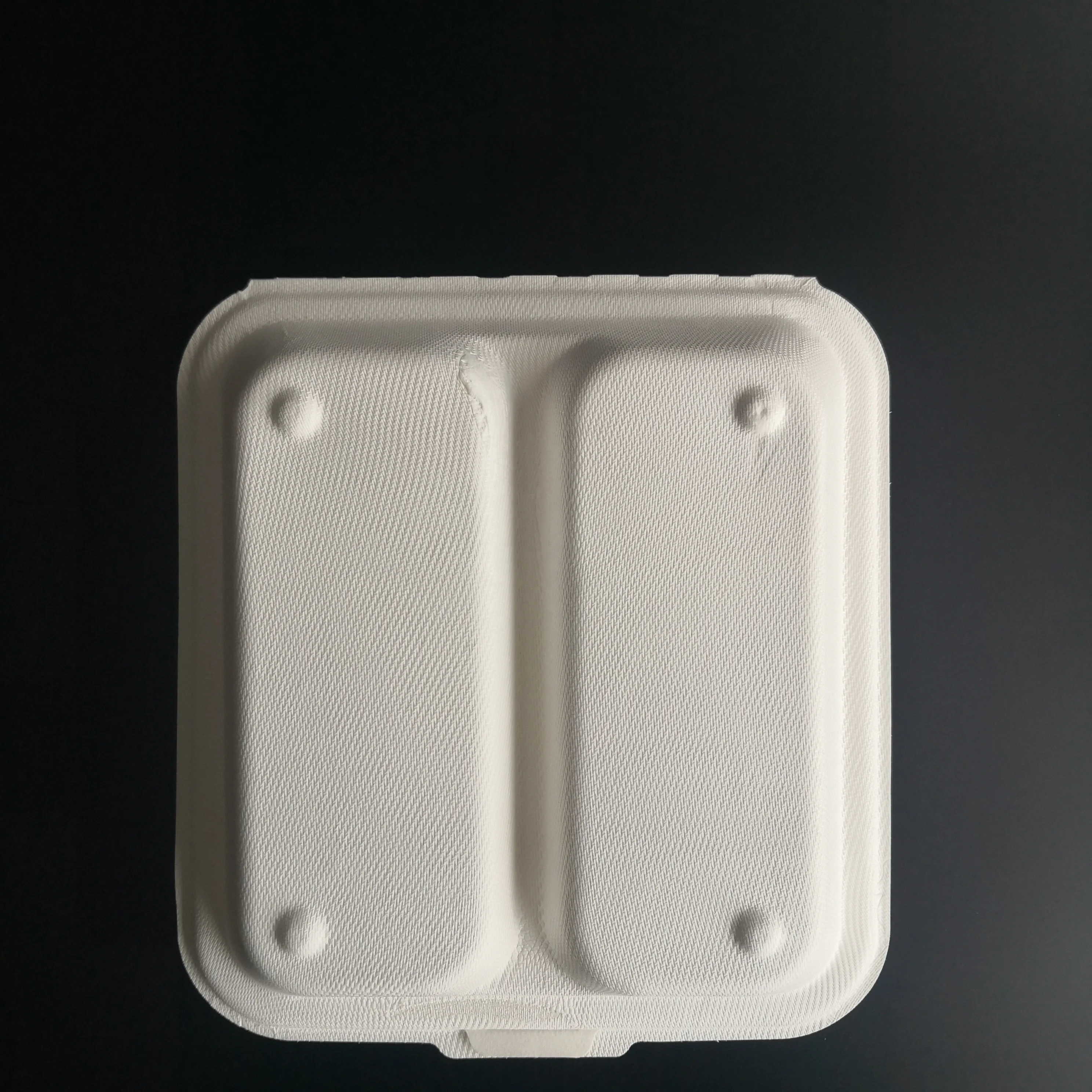 8Inch Sugarcane 2 Compartment Disposable Lunch Box With Compartment And Bagasse Single Compartment Food Container With Lid