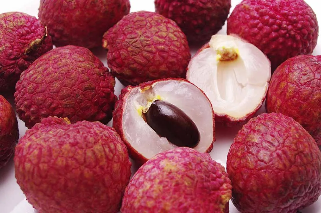 NEW CROP 2021 FRESH LYCHEE FRUIT WITH BEST QUALITY