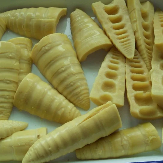 canned water bamboo shoot 2950g A10