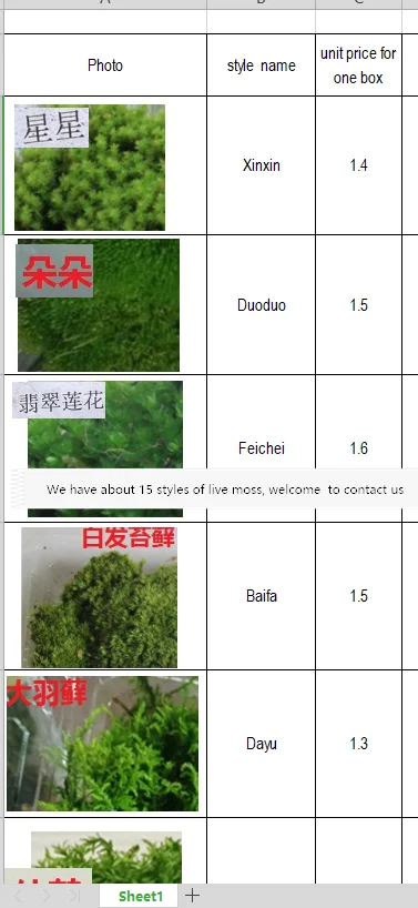 Natural  Live Moss, Real Muskeg Grass for Wall, Garden, Scene Decoration, Micro Landscape, Army Sand Table