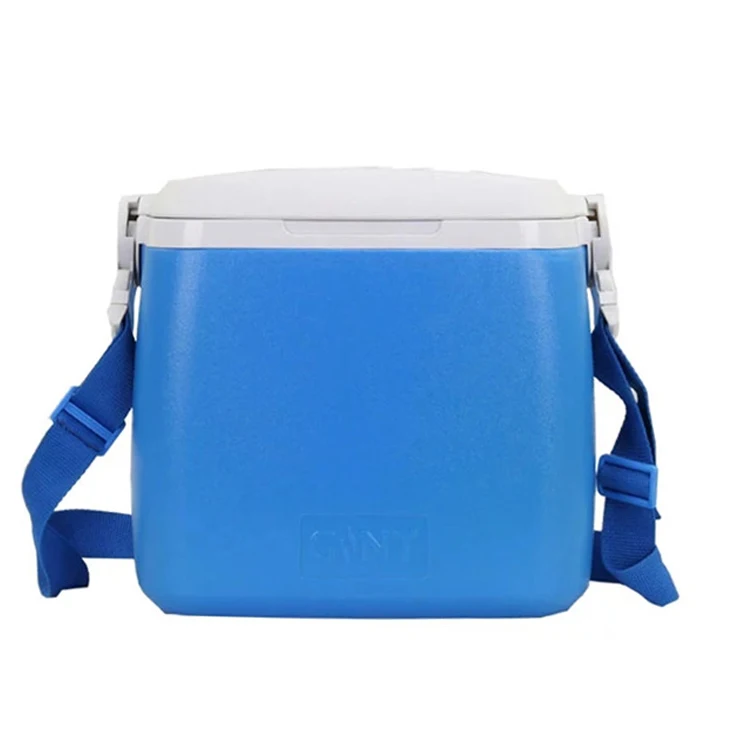 Orange Custom Logo OEM Injection Gift Mobile  Picnic Small  Lunch Water 8L PU Foam Cooler Box With Carry Strap