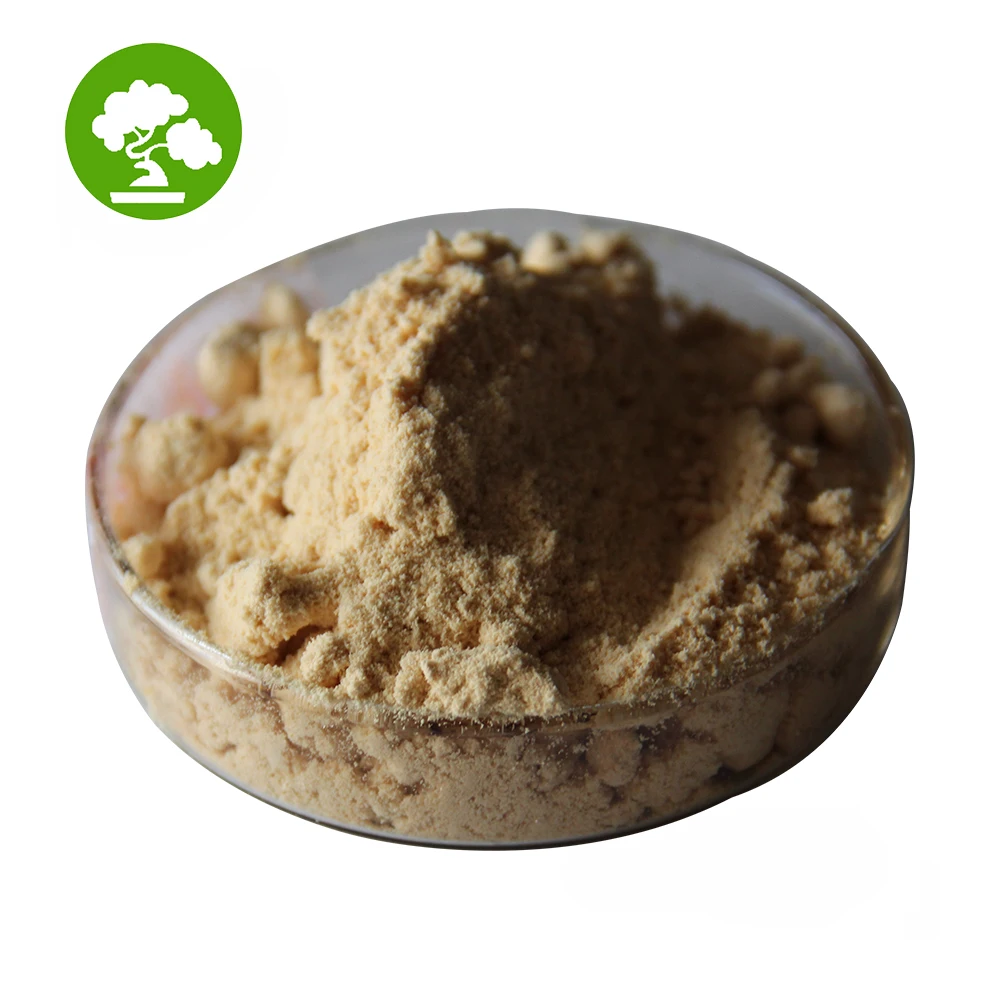 Bulk Stock Best Price Buy Bacillus Subtilis Powder