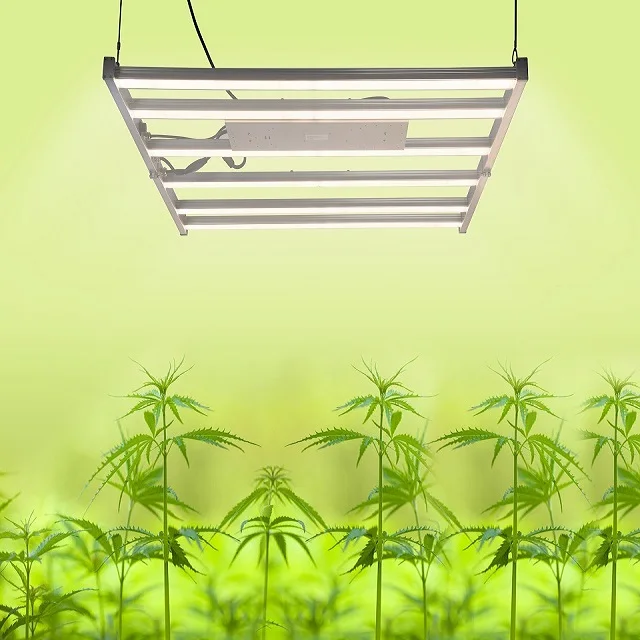 yaorong 2021 new design high efficacy 10 bars 1000w etl full spectrum 720w grow light led
