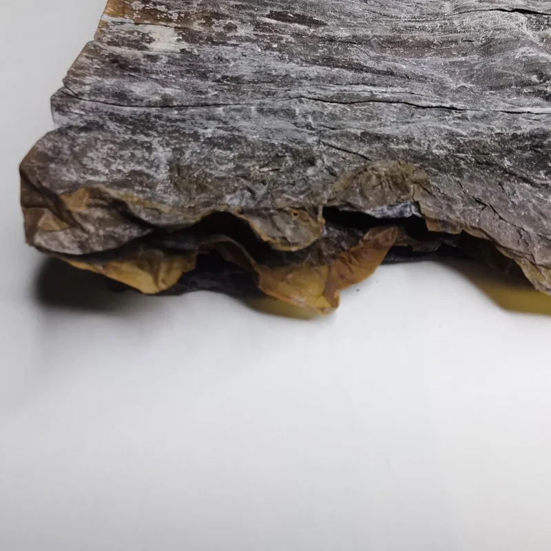 Новое поступление продажа растворимых водорослей