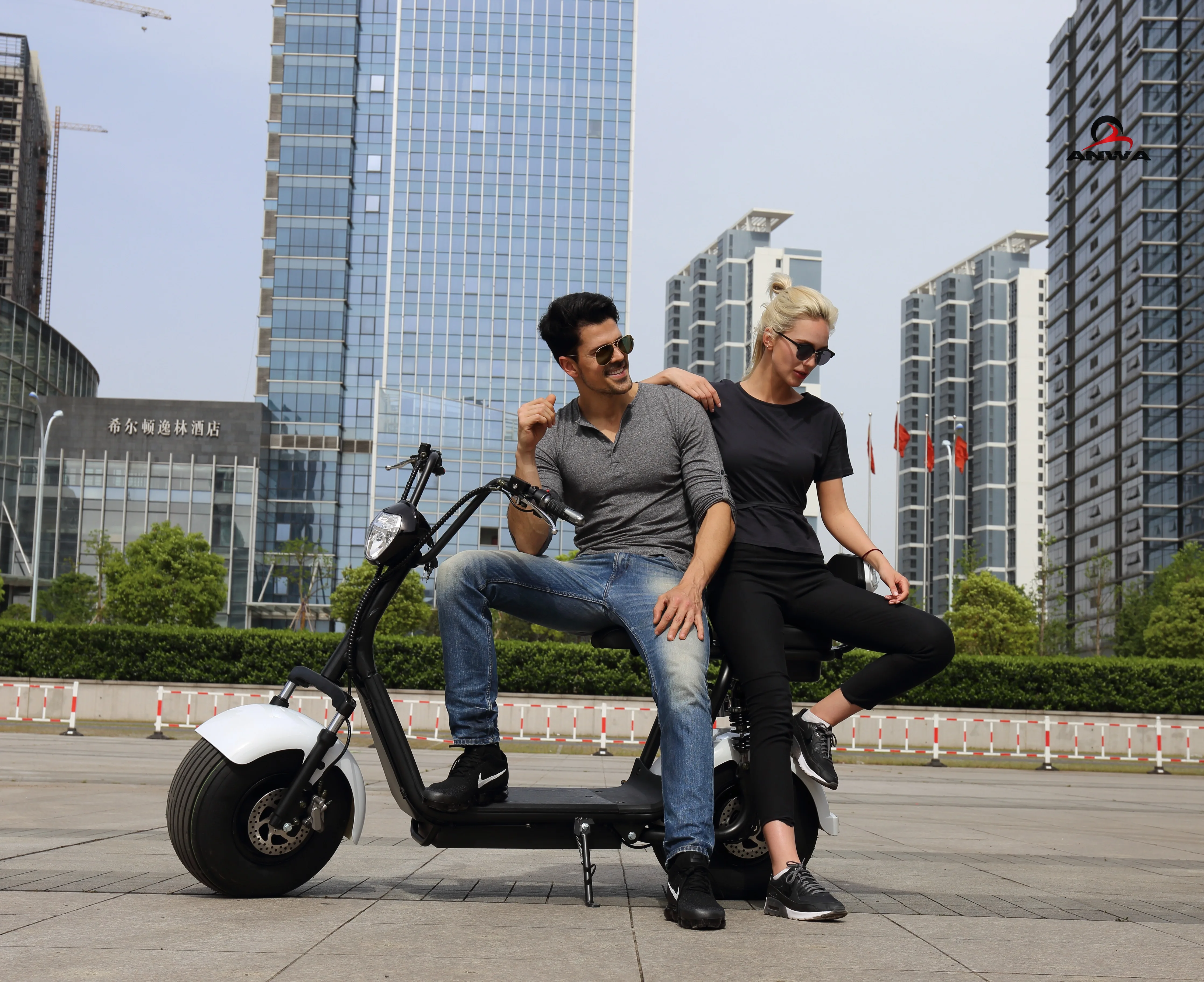 Newest Electric Scooter Parts 1000w Citycoco 60v/12Ah Fast Electric Motorcycle