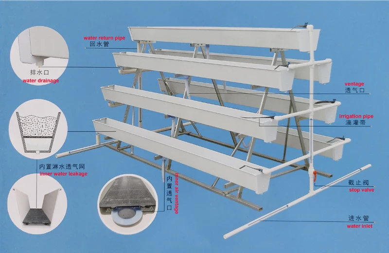 Small Strong garden 6x10m tunnel greenhouse