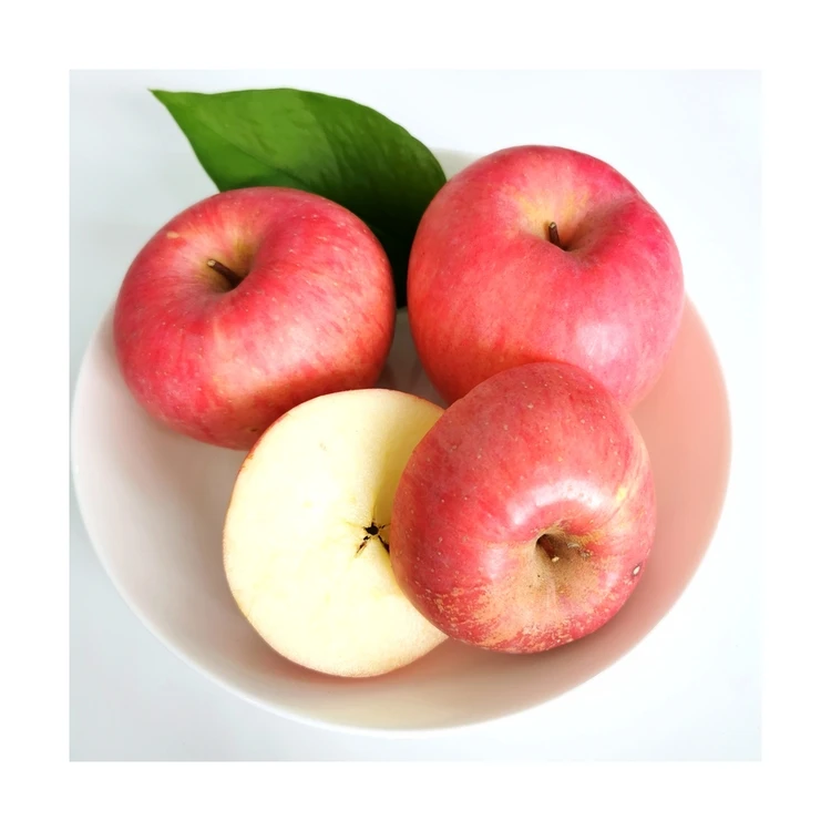Best price of China manufacturer red fresh fuji apples