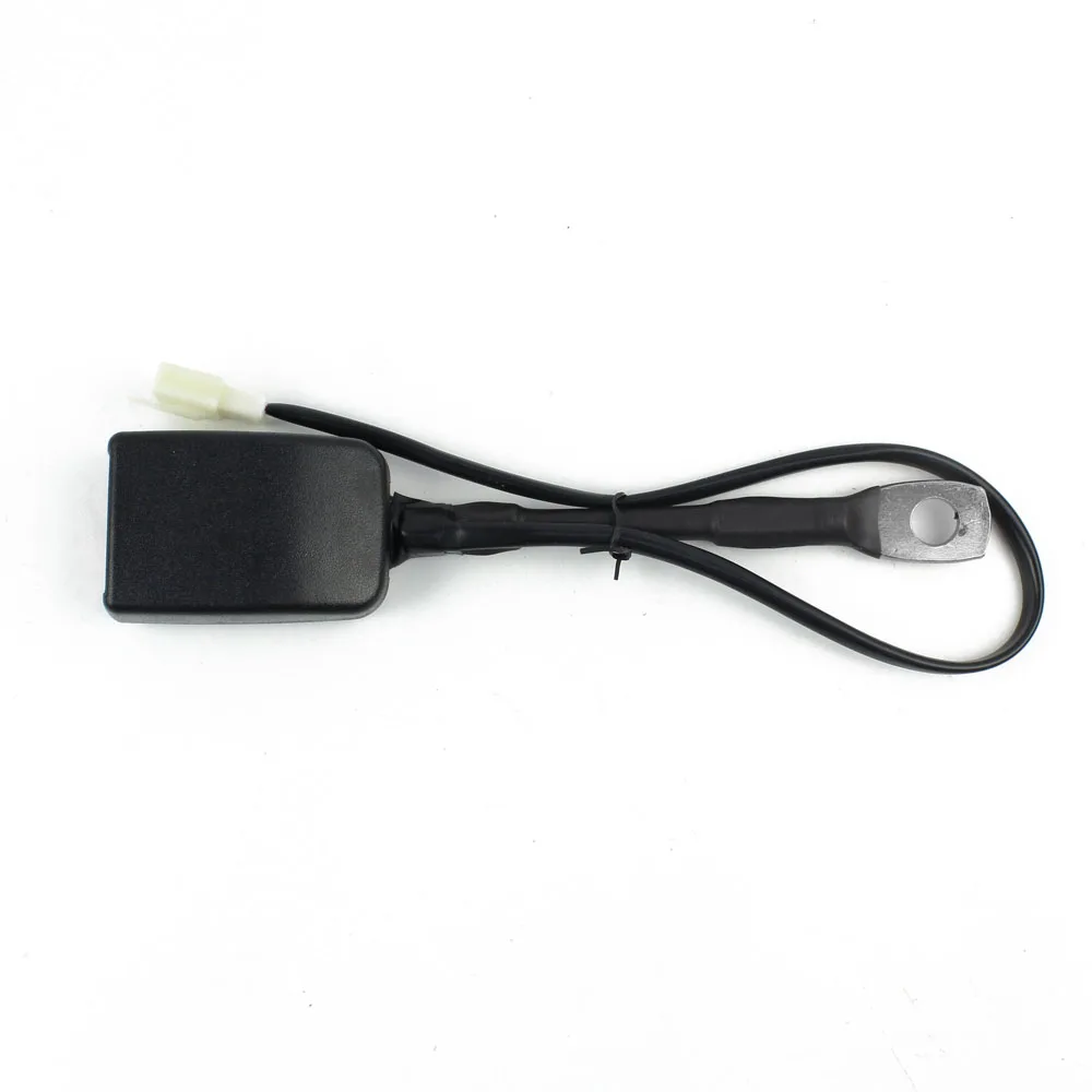 Seatbelt Buckle Safety Belts Buckle 2 Points with Alarm Sensor Far Europe Abs+metal ISO/TS16949 CCC, ECE R16 OEM