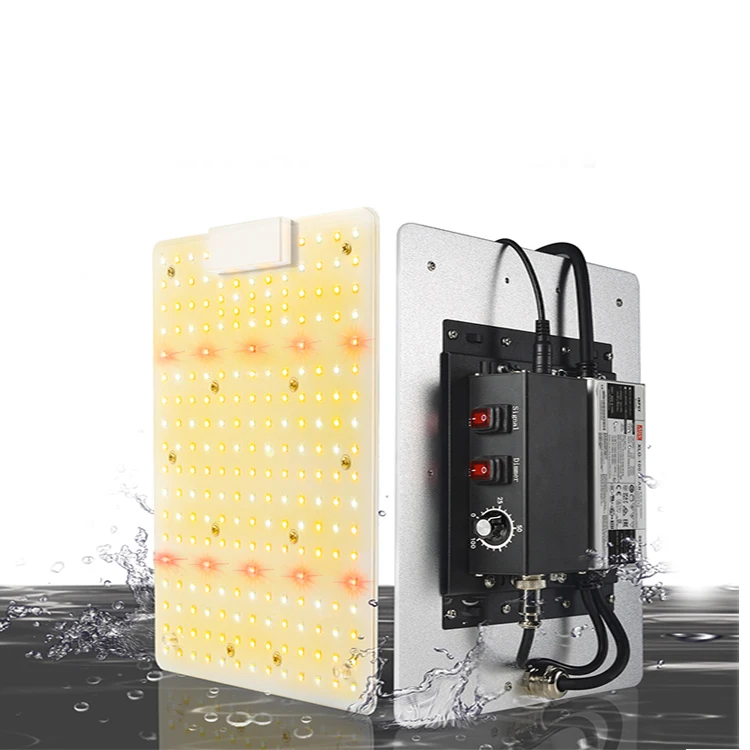 
Shenzhen 2021 best commercial led grow light dimmable lights full spectrum uv ir indoor hydroponic lm301h led grow light 