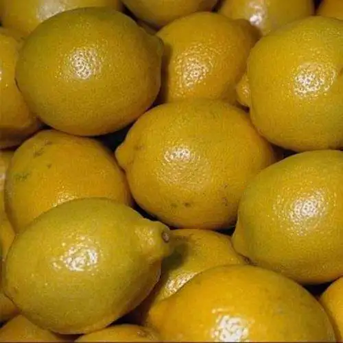 Свежий лимон высокого качества для продажи оптом фрукты китайский свежий лимон