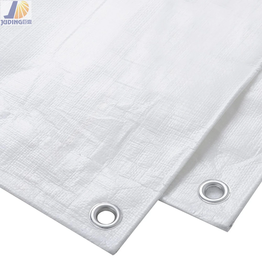 white and blue pe tarp with eyelets