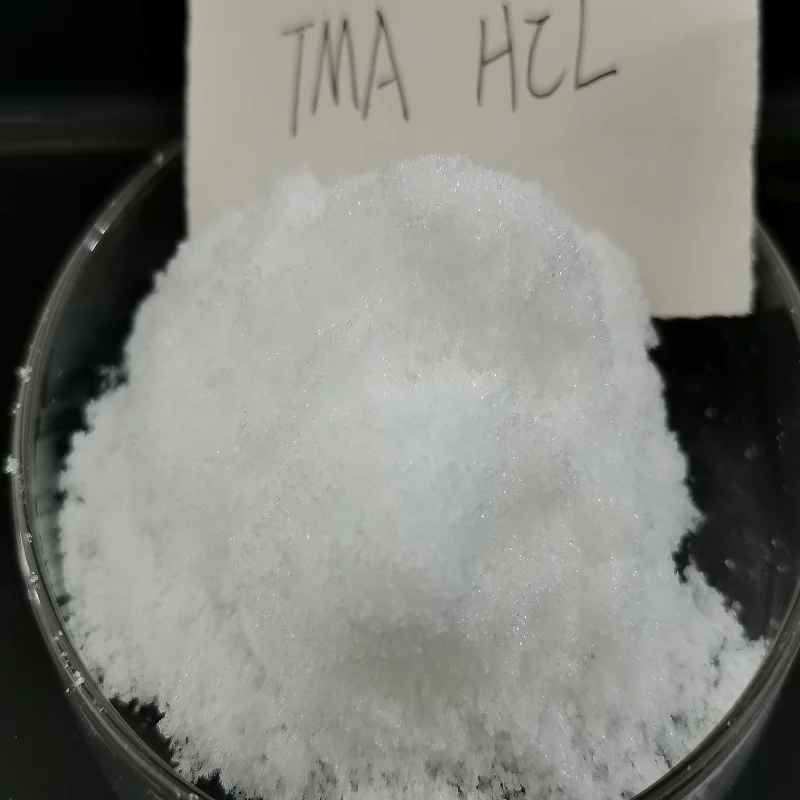Flotation Reagent Trimethylamine Hydrochloride 99% CAS NO 593-81-7TMA HCl Fine Chemical Intermediate