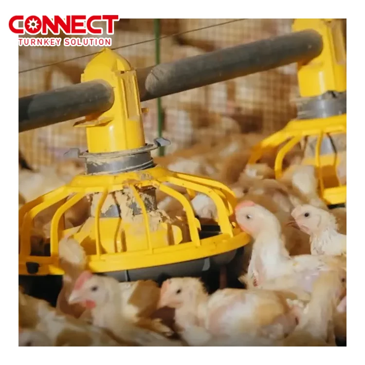 Complete Controlled Poultry Shed Farm building prefabricated housing steel structure Chicken House for sale