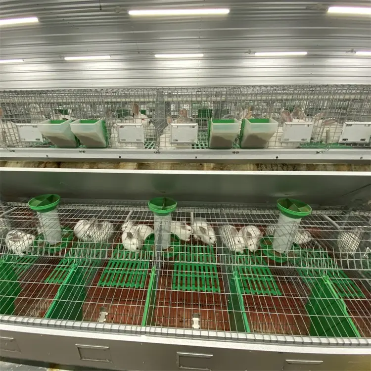 Factory Supply Rabbit Cage for Sale/Poultry Farming Equipment
