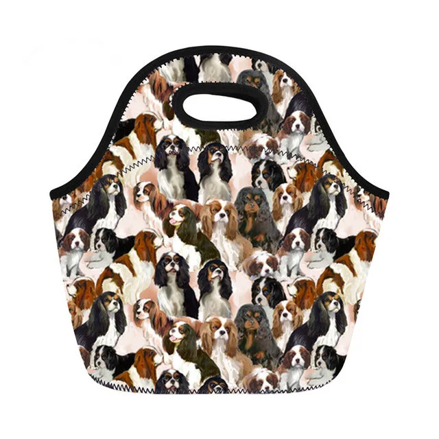 Cavalier King Charles Spaniel Printing Lunch Bags for Women Kids Picnic Tote School Food Bag Bolsa T Lancheira