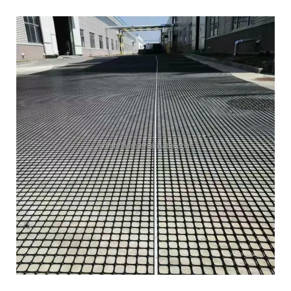 Polyester Geogrid Slope Stabilization Plastic Geogrid for Road Construction Civil Engineering Construction Biaxial Geogrid